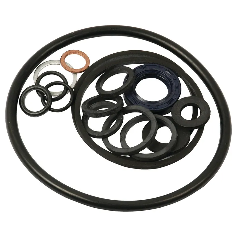 Place Order Seal Kit (Air Equipment Pump) | Sparex Part No.S.40154                                          0.05 kg