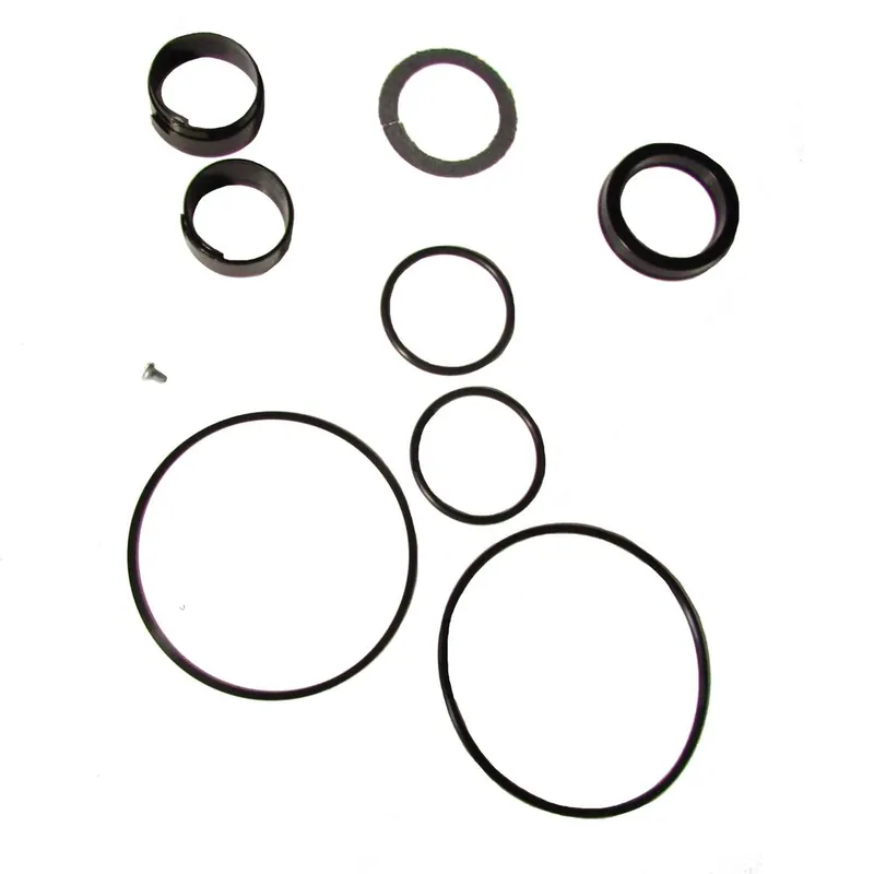 Factory Price D42875 Swing Cylinder Seal Kit Fits Case 310E 310F 310G 450 750 850 1150 530 580