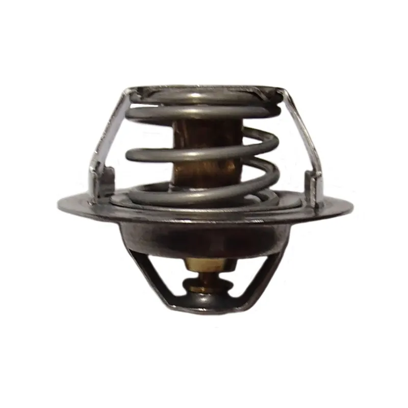 S.63105 Thermostat, K200831 Fits David Brown Grab Now