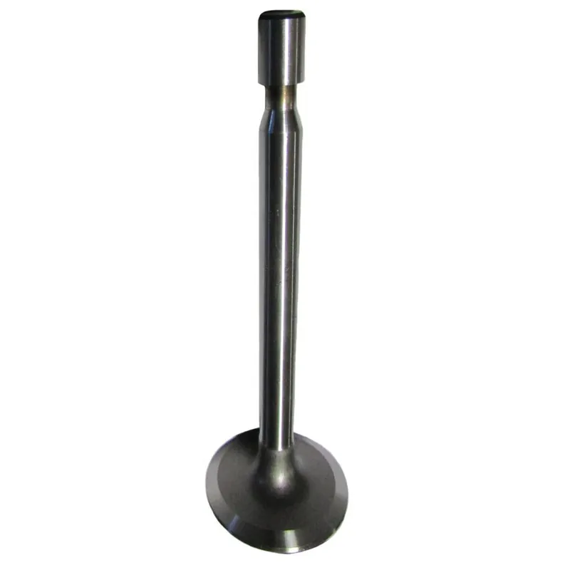 One Day Deal 261528 Replacement Intake Valve Fits Briggs & Fits Stratton Models 16-18 HP